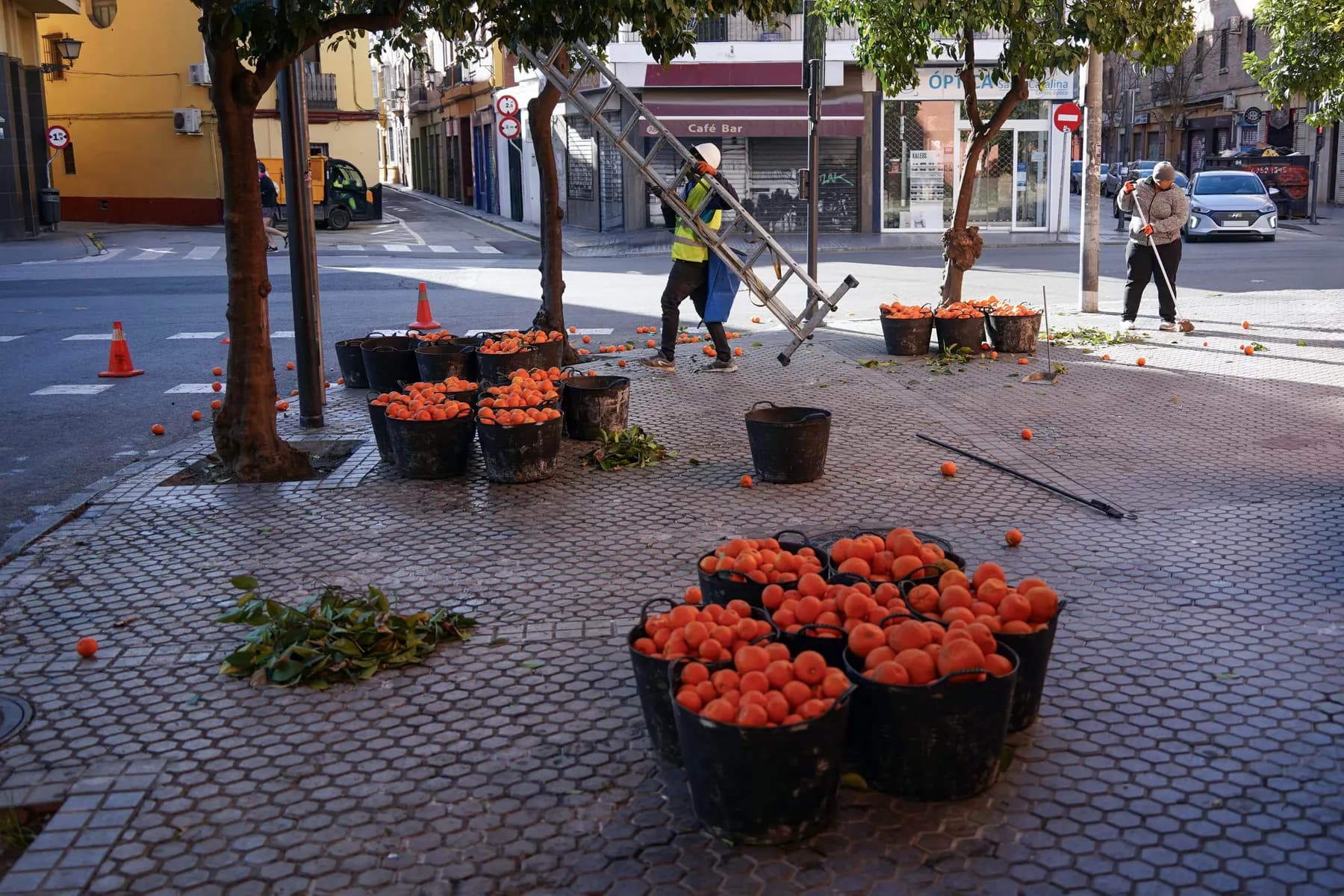 A street crew in high visibility vests setting out planters along a sidewalk
