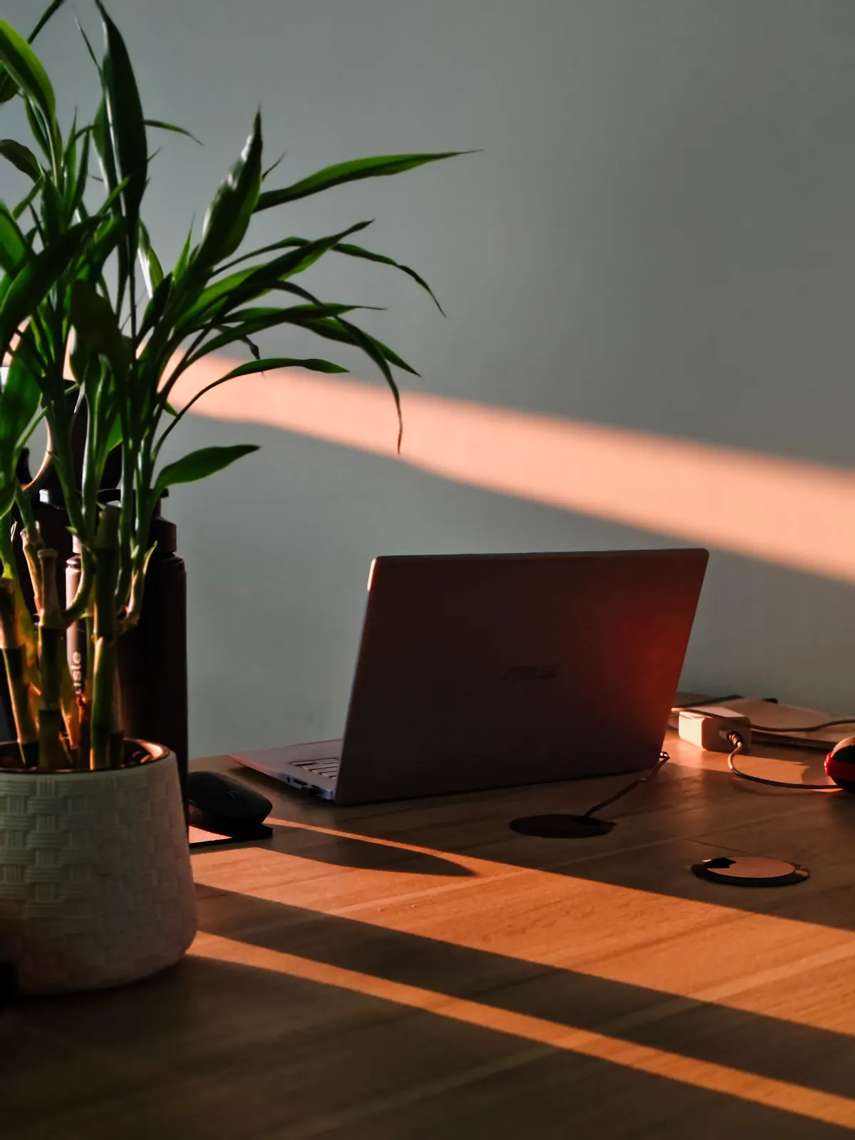 A laptop open on a wooden desk beside a potted plant in late afternoon light
